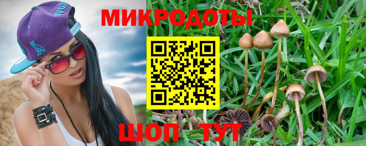 Псилоцибиновые грибы мухоморы  где купить наркотик  Рославль  Вход с VPN 