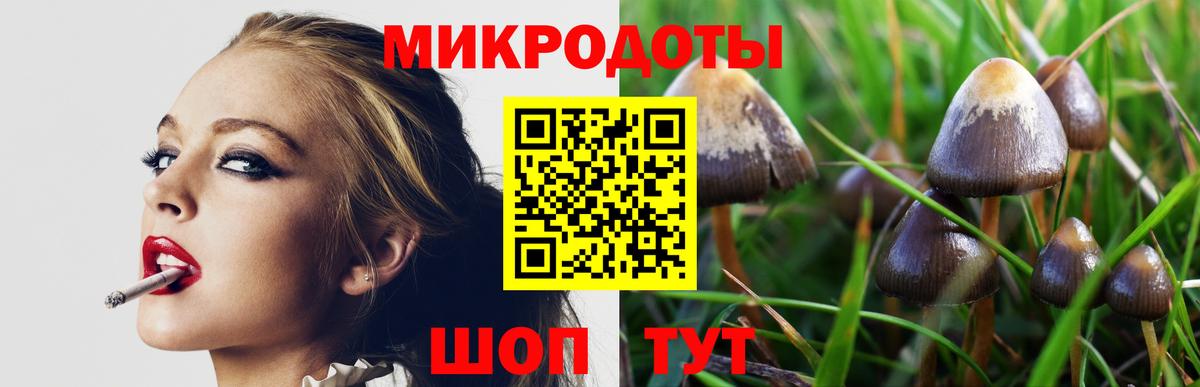Галлюциногенные грибы мухоморы Рославль